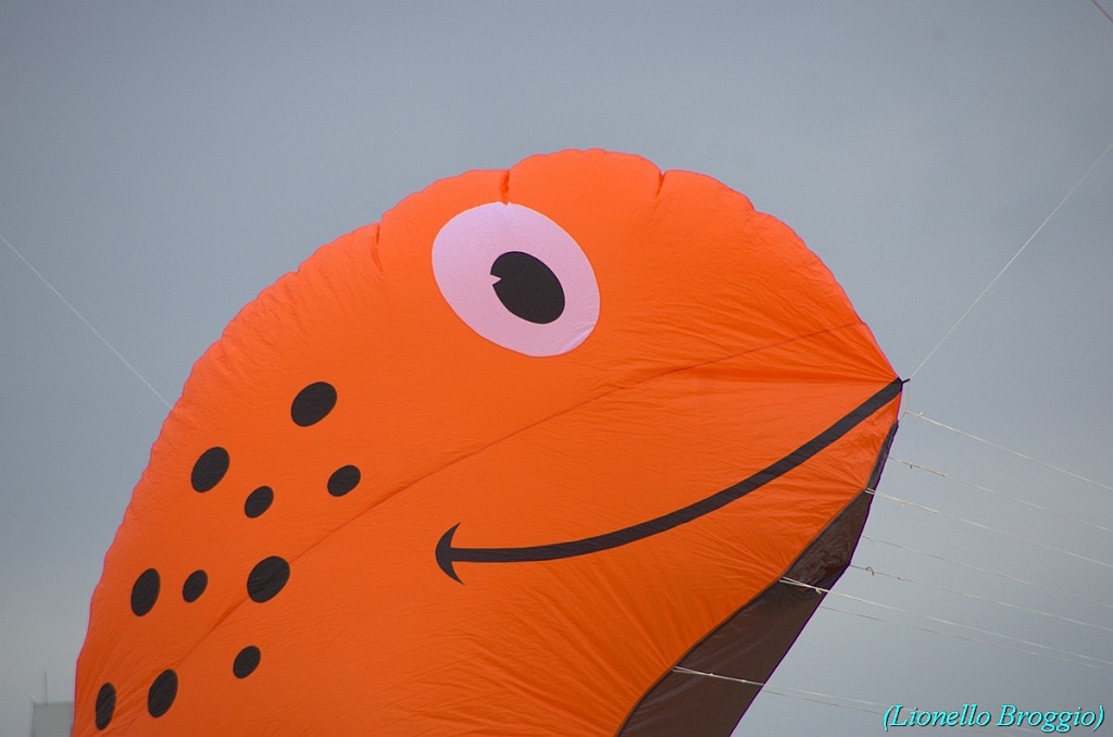 RIMINI 2012 - 057.jpg